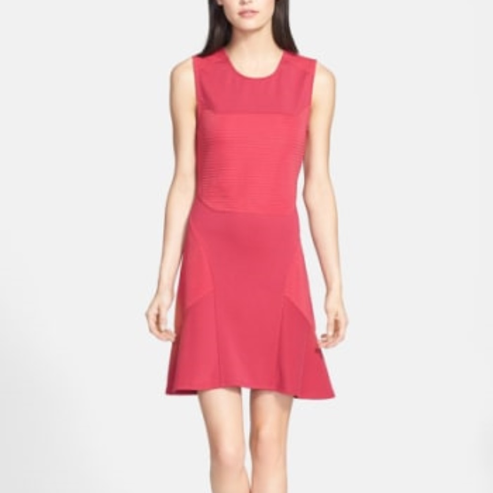 Robbi and Nikki Dress